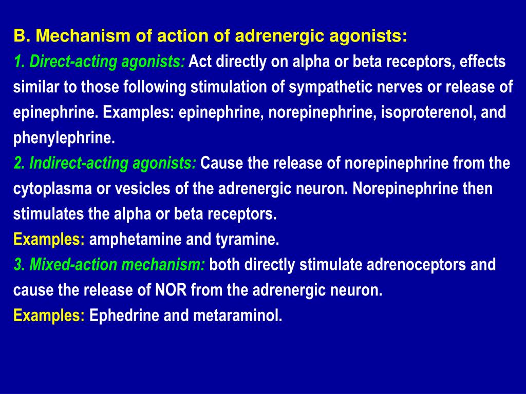 PPT Adrenergic Agonists and Antagonists PowerPoint Presentation, free
