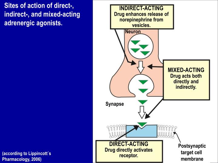 PPT Adrenergic Agonists and Antagonists PowerPoint Presentation ID