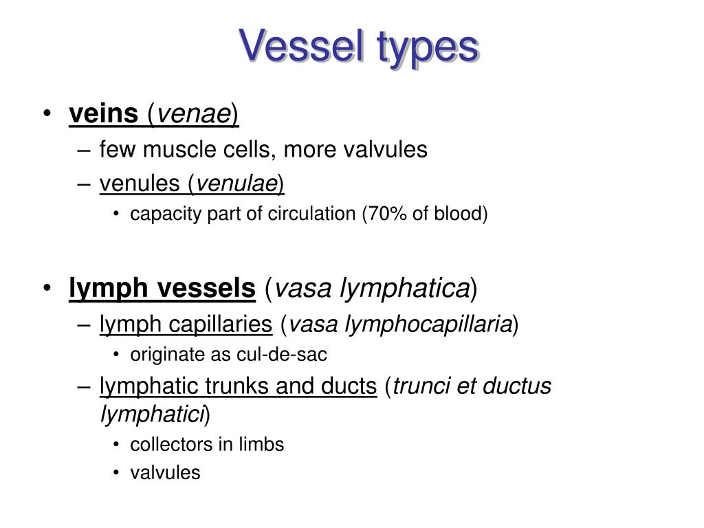 PPT VESSELS general overview PowerPoint Presentation, free download