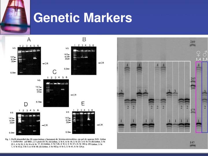 PPT Technology PowerPoint Presentation ID4453913