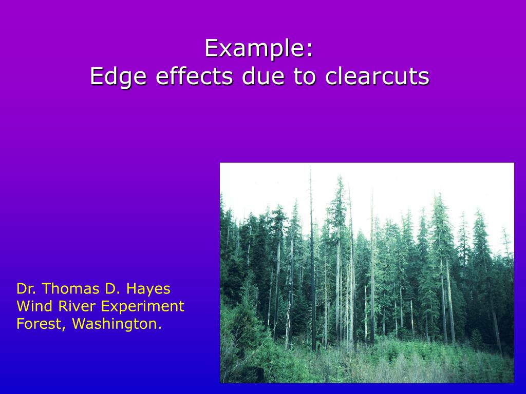PPT Roads, Fragmentation, and Edges Lecture 19 April 26, 2005