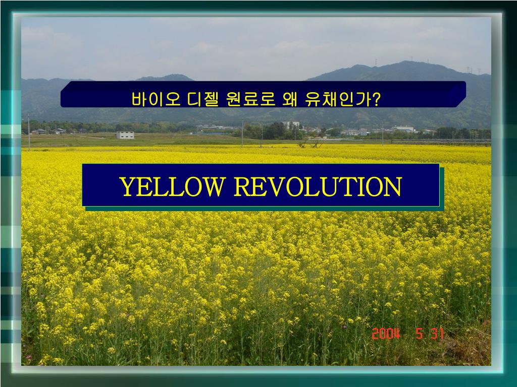 PPT YELLOW REVOLUTION PowerPoint Presentation, free download ID4456712