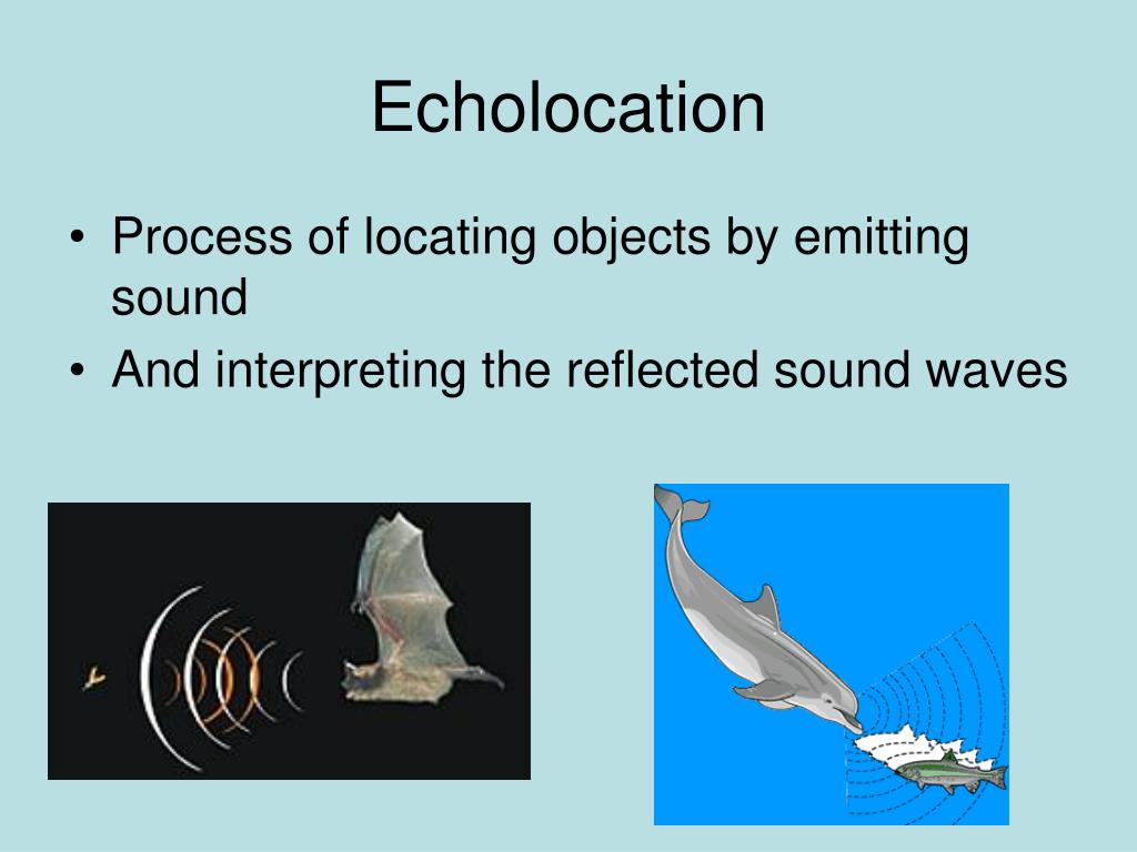 PPT - Using Sound PowerPoint Presentation, free download - ID:4459744