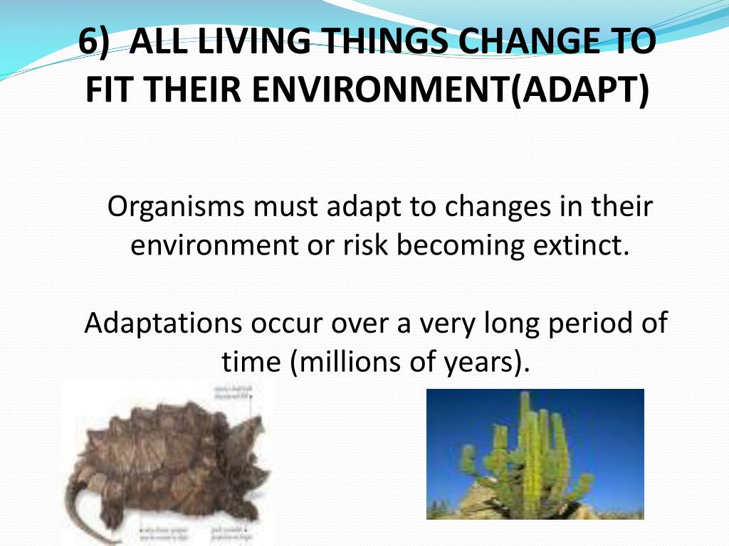 PPT 7 Characteristics of Life PowerPoint Presentation, free download