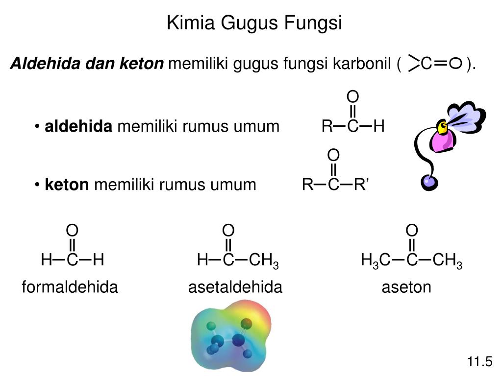 Suatu Garam Normal Dengan Rumus Ch3coona