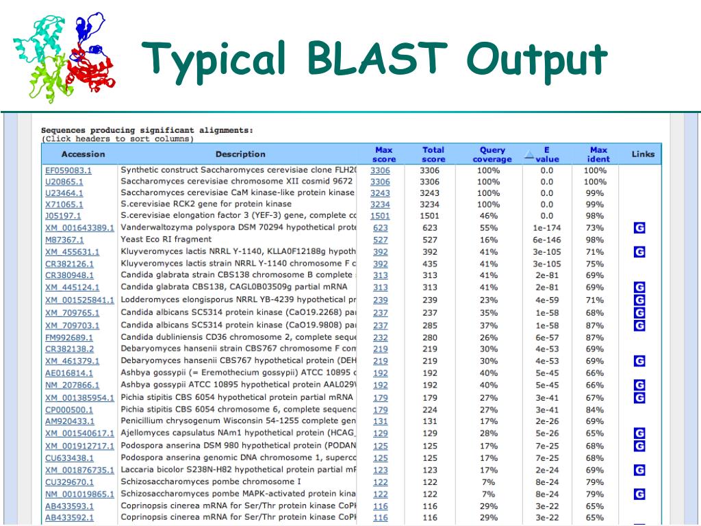 PPT Basic bioinformatics tools for studying proteins PowerPoint