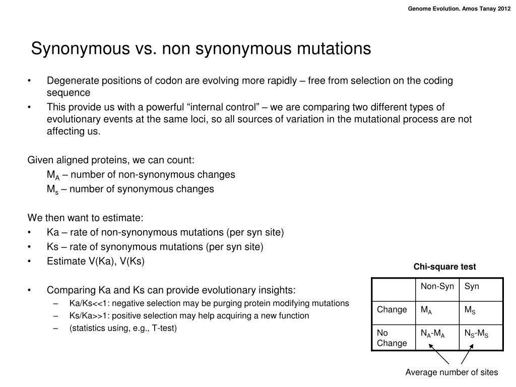PPT Genome evolution PowerPoint Presentation, free download ID4470538