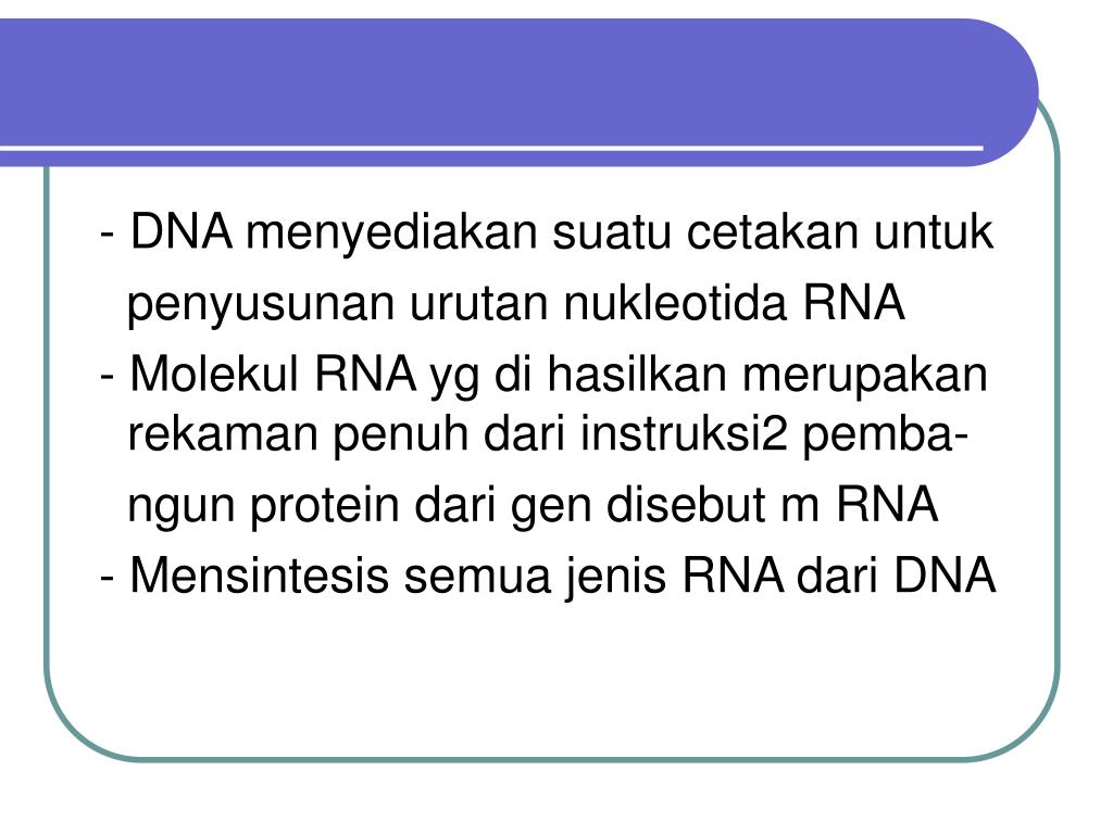 Dna Merupakan Cetakan Rna Dalam Proses DNA Informasi