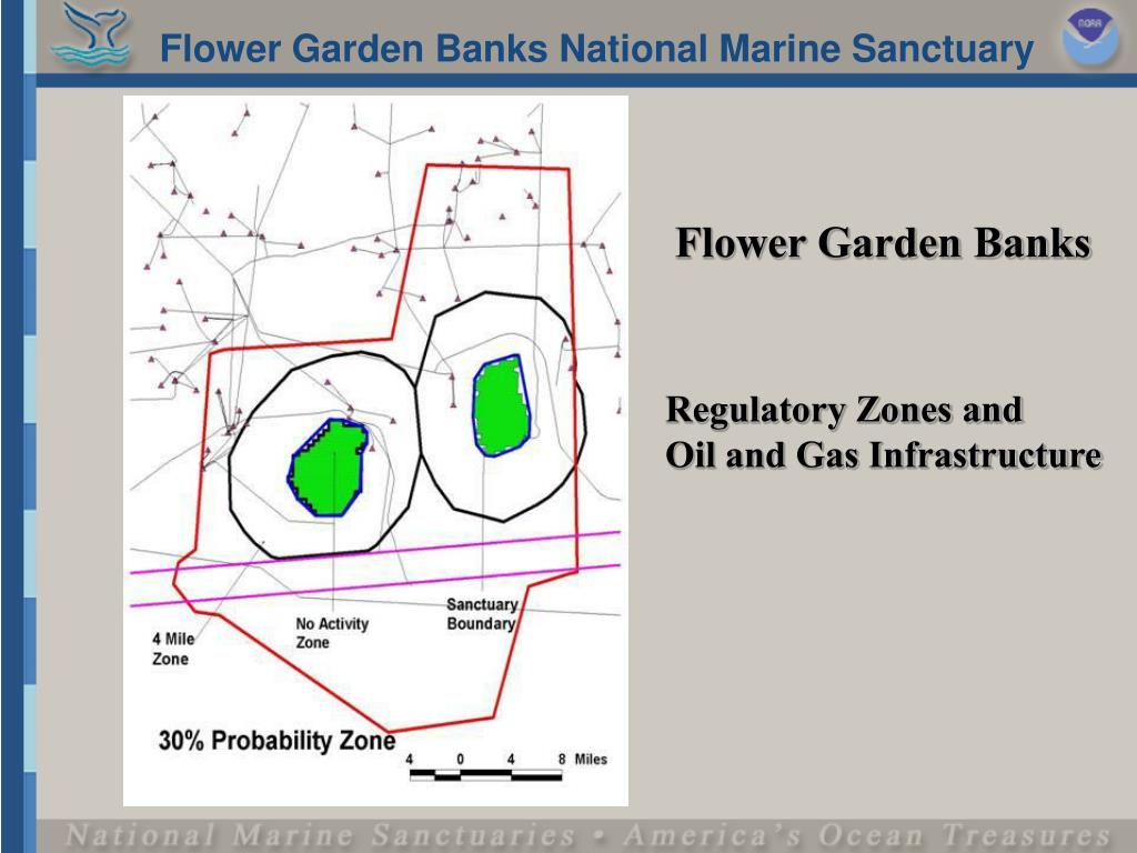 PPT Managing Marine Areas Success Stories Flower Garden Banks