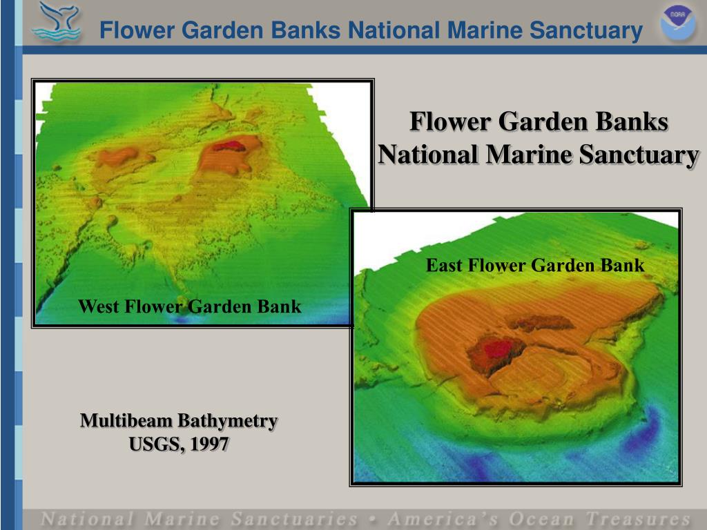 PPT Managing Marine Areas Success Stories Flower Garden Banks