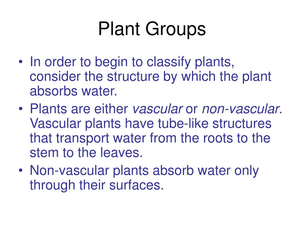 PPT Plant Groups PowerPoint Presentation, free download ID4473898