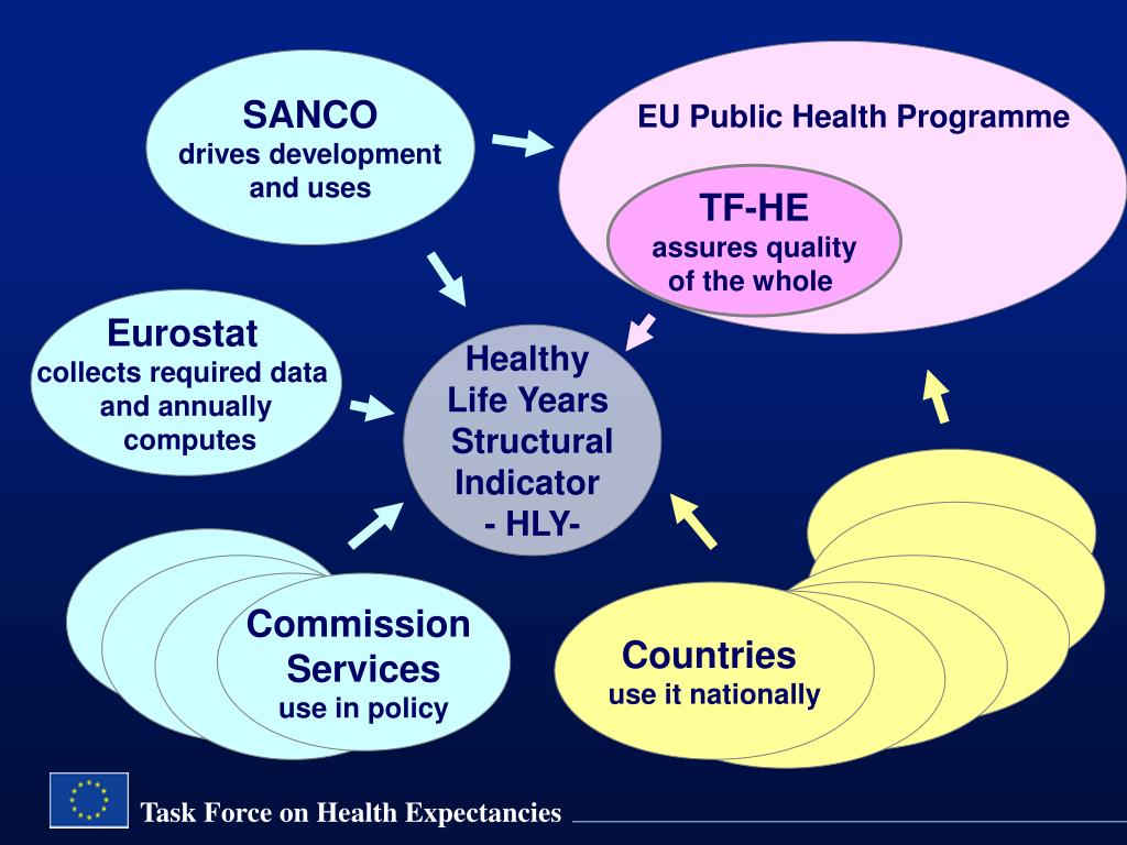 PPT Progress of Task Force on Health Expectancies (TFHE) PowerPoint
