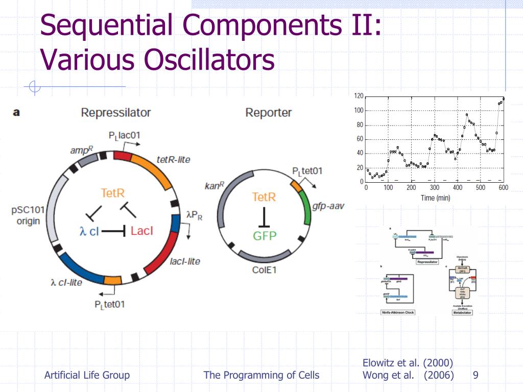 PPT Synthetic Biology I The Programming of Cells PowerPoint