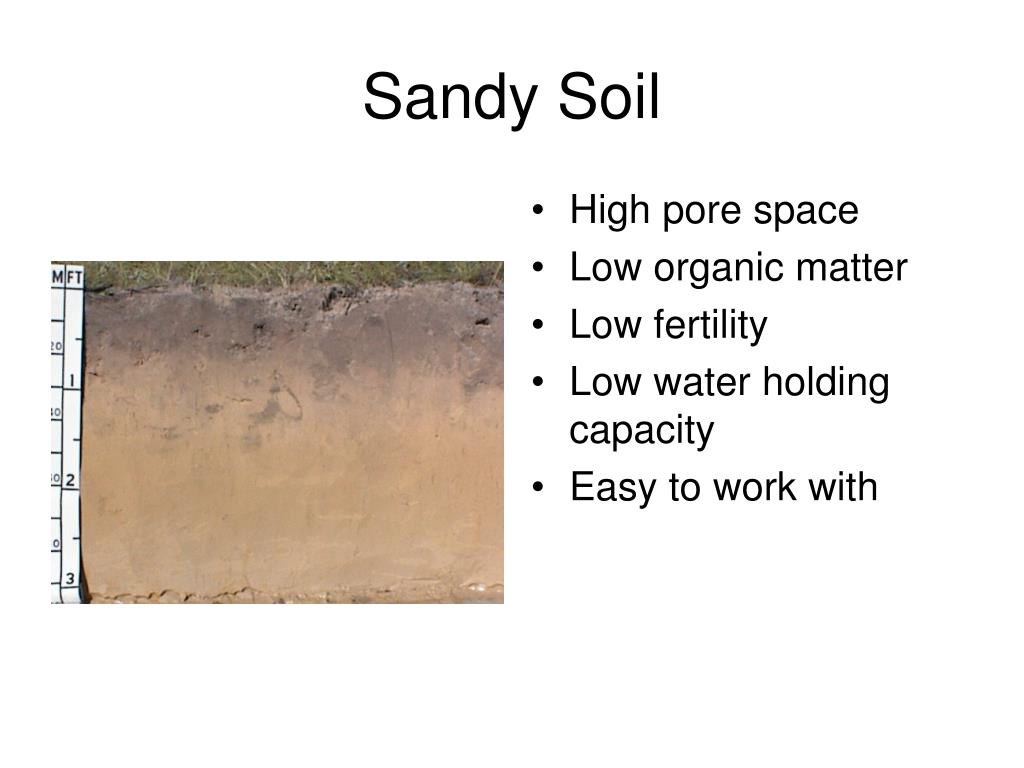 PPT Envirothon PowerPoint Presentation, free download ID4477759