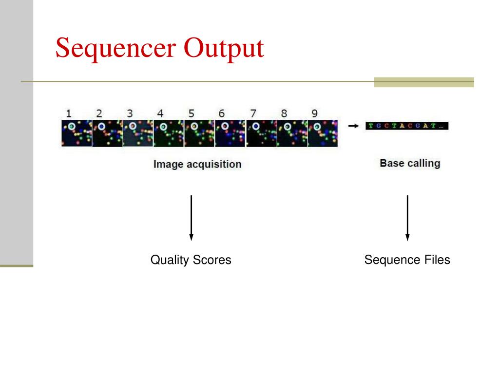 PPT ChIP Sequencing BMI/IBGP 730 PowerPoint Presentation, free download ID4479469