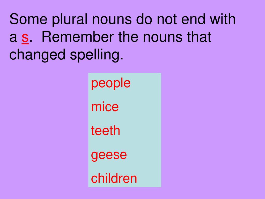 PPT Plural Possessive Nouns PowerPoint Presentation, free download
