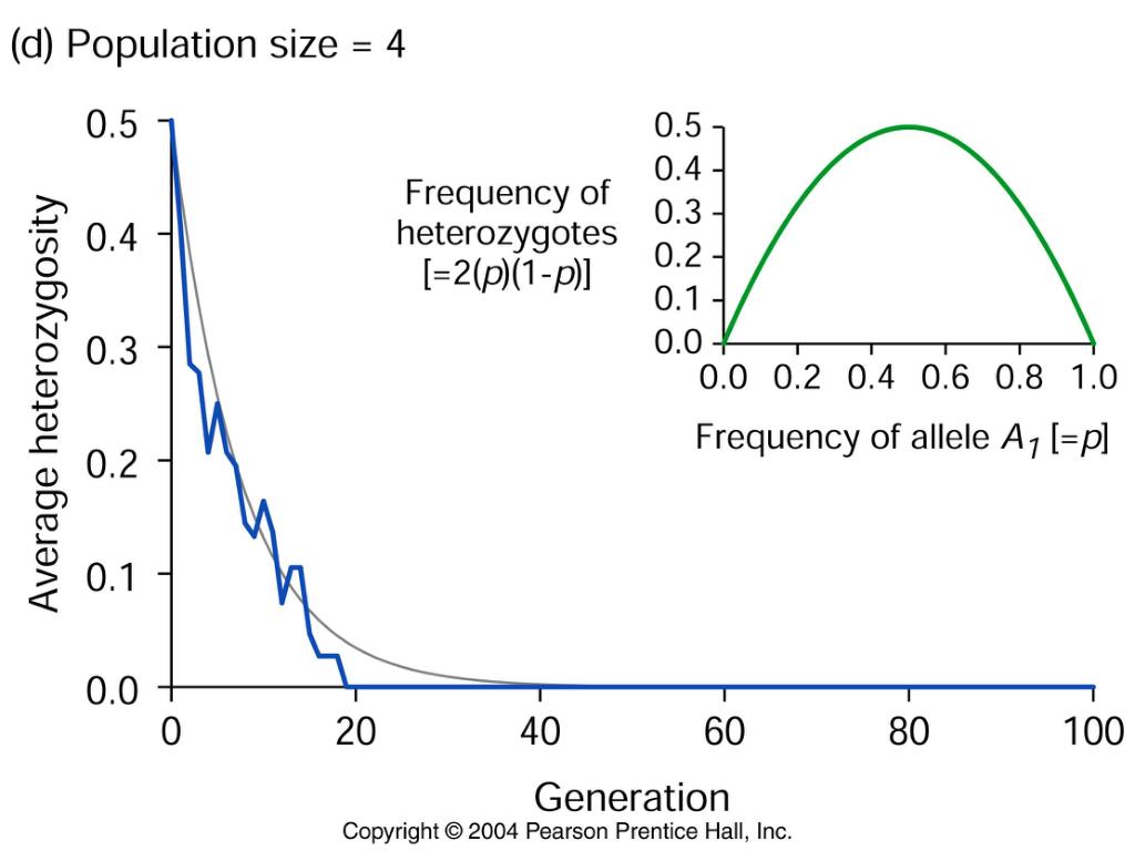 PPT Drift PowerPoint Presentation, free download ID4493604