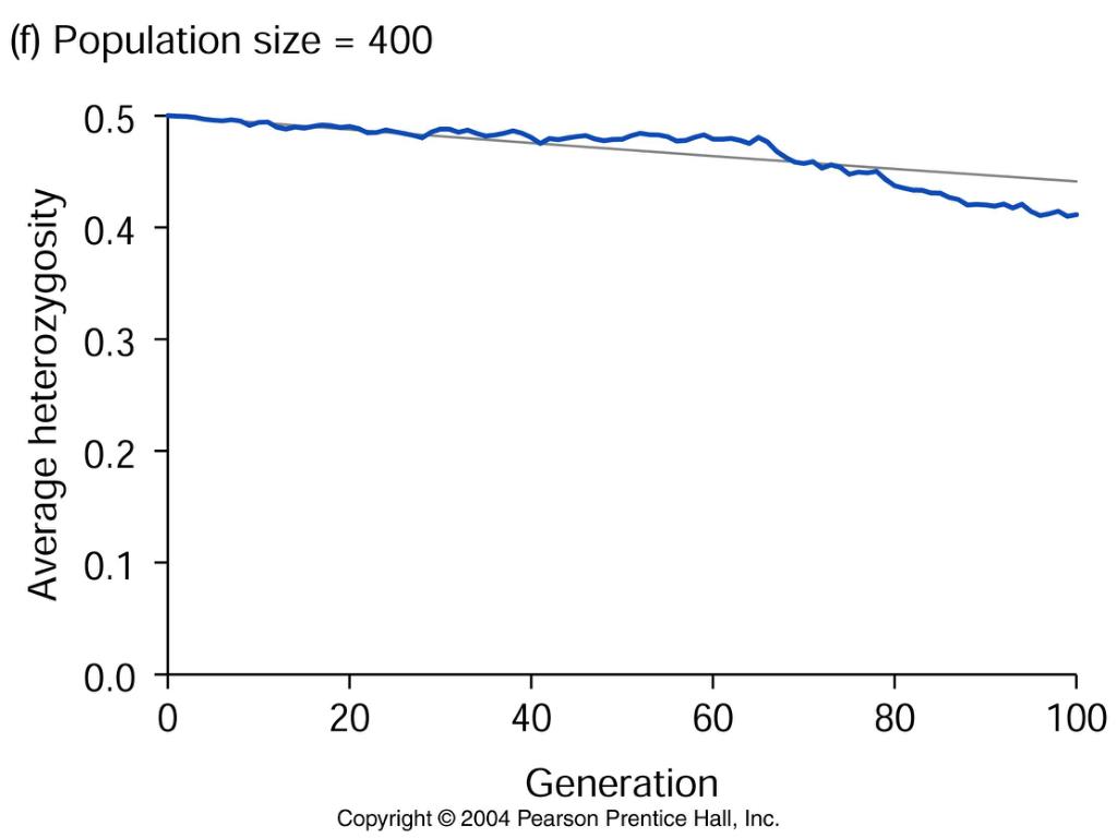 PPT Drift PowerPoint Presentation, free download ID4493604