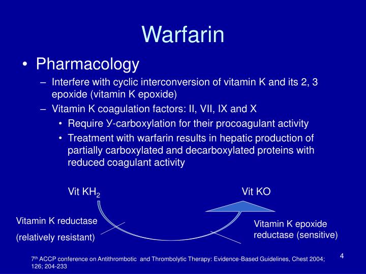 PPT Warfarin and Dietary Interactions Developing a Food and Drug