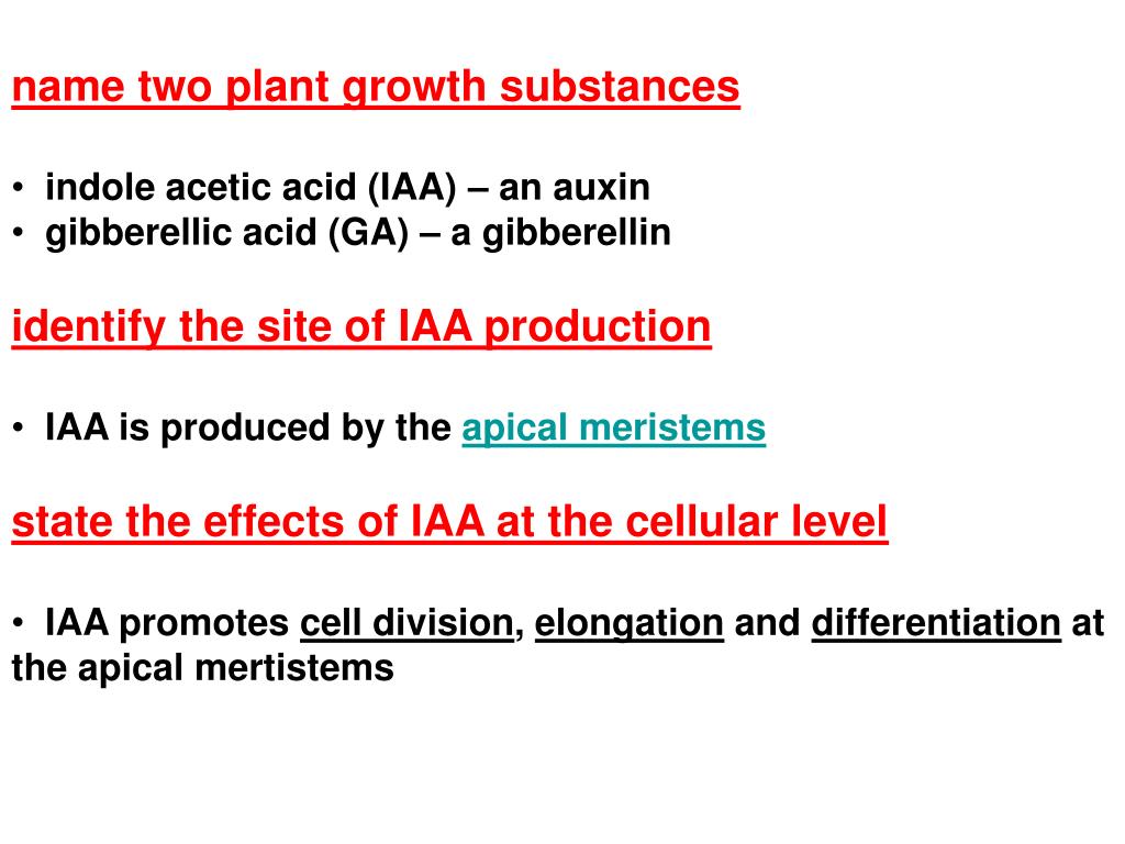 PPT name two plant growth substances indole acetic acid (IAA) an