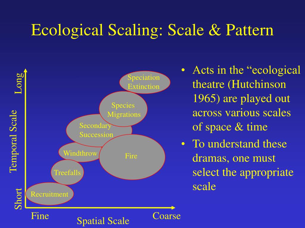 PPT Emergence of Landscape Ecology PowerPoint Presentation, free