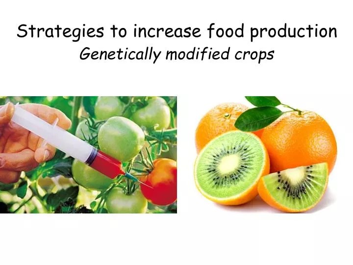 PPT Strategies to increase food production modified crops