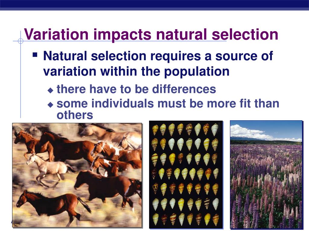 PPT Chapter 23. PowerPoint Presentation, free download ID4497800