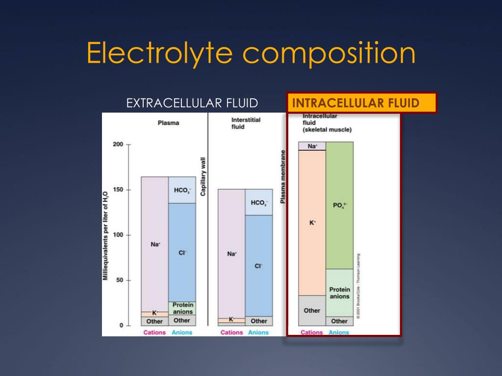 PPT IV FLUIDS PowerPoint Presentation, free download ID4497824