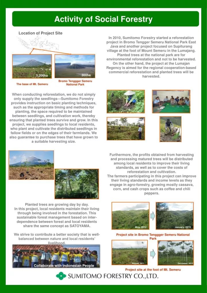 PPT Activity of Social Forestry PowerPoint Presentation, free