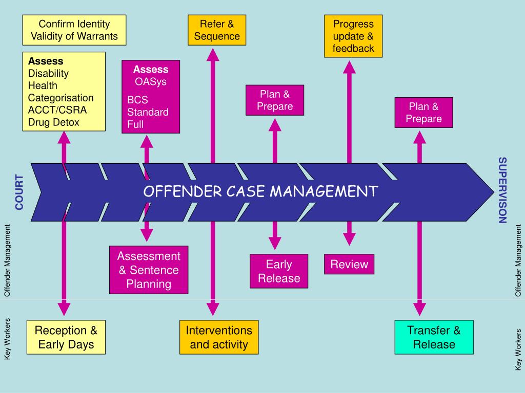 PPT Basic Custody Screening Tool (BCS) PowerPoint Presentation, free