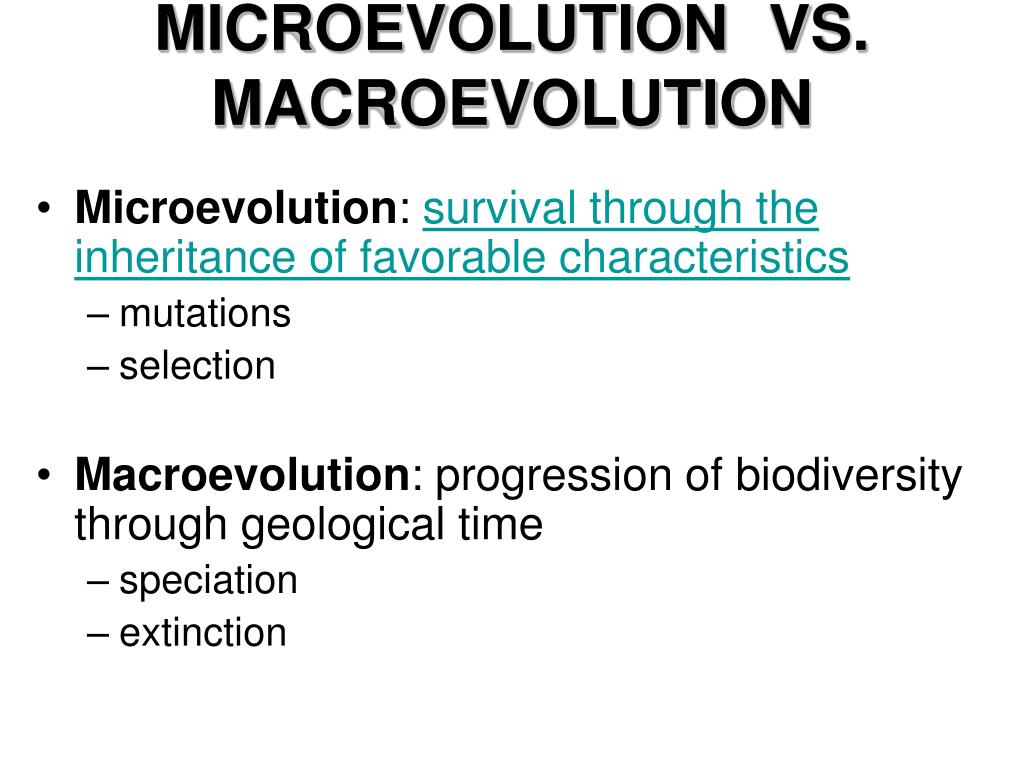 PPT MICROEVOLUTION VS. MACROEVOLUTION PowerPoint Presentation, free