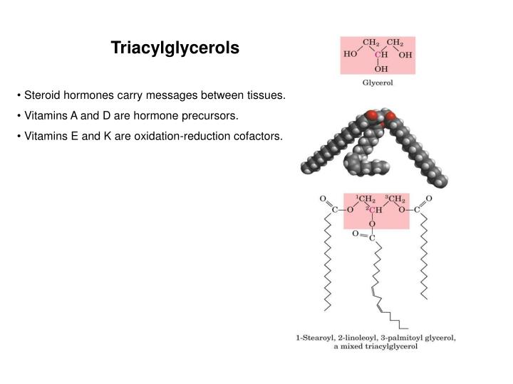 PPT Metabolism of dietary lipids . Oxidation of fatty acids. Ketone
