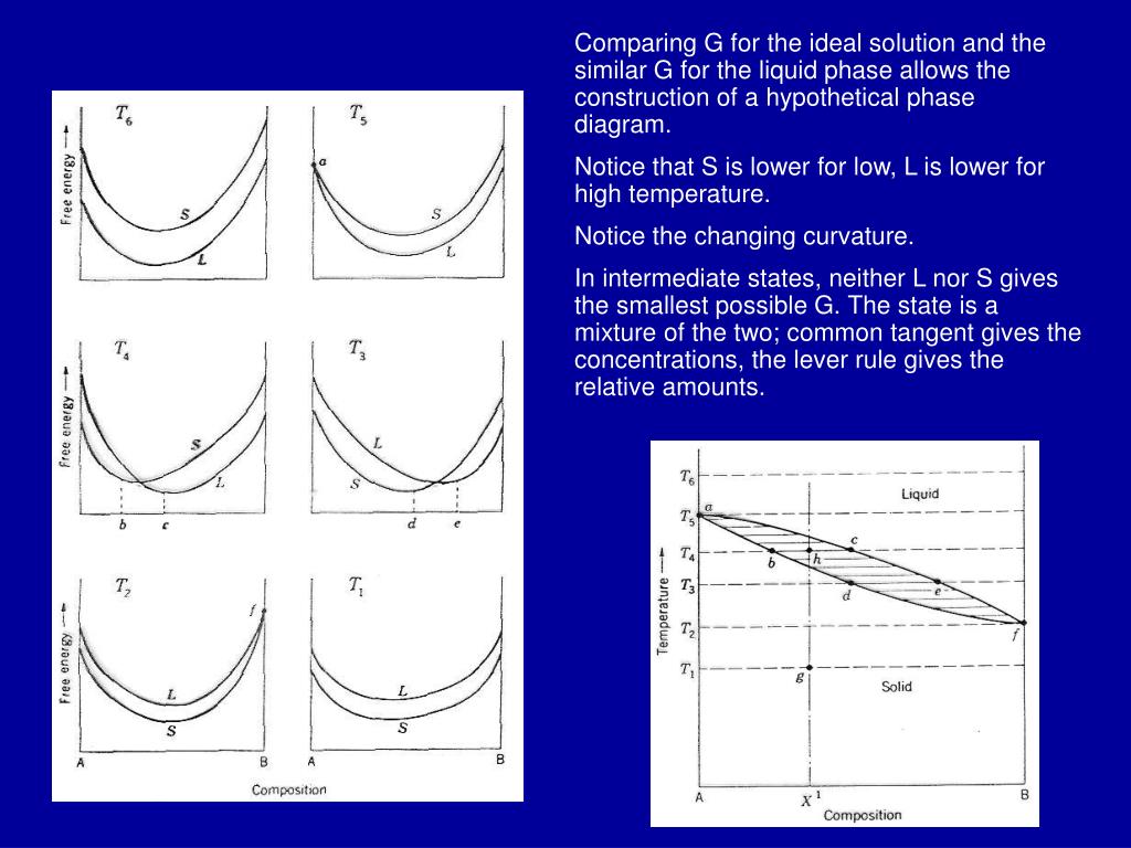 What Information Does A Phase Diagram Give Hanenhuusholli