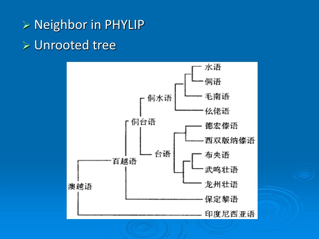 PPT Constructing Linguistic Tree 语言谱系树的构建 PowerPoint