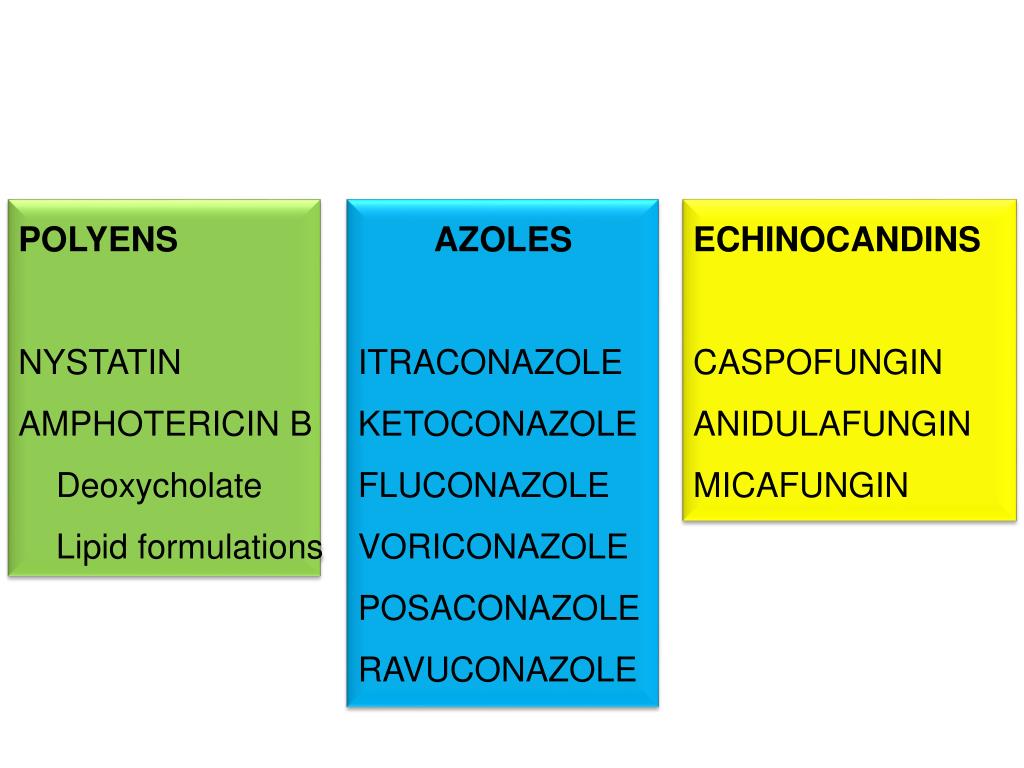 PPT SYSTEMIC ANTIFUNGAL AGENTS SPECTRUM INDICATIONS PRECAUTIONS