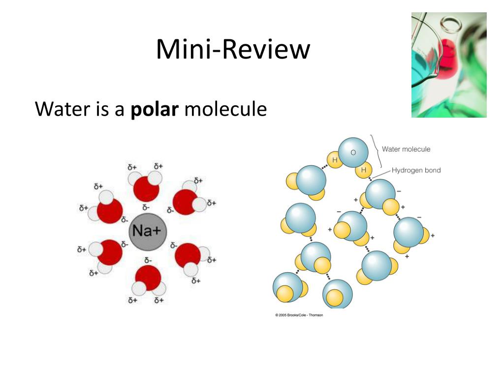 PPT STAAR Chemistry Review Topic Solutions PowerPoint Presentation