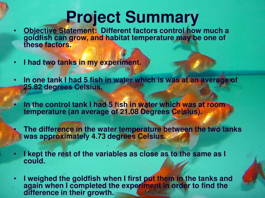 PPT Effects of temperature on the growth of goldfish ( Carassius