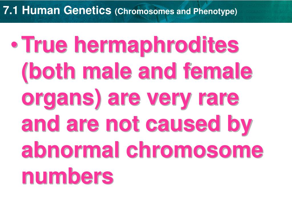 PPT Section 71 “Human ” PowerPoint Presentation, free
