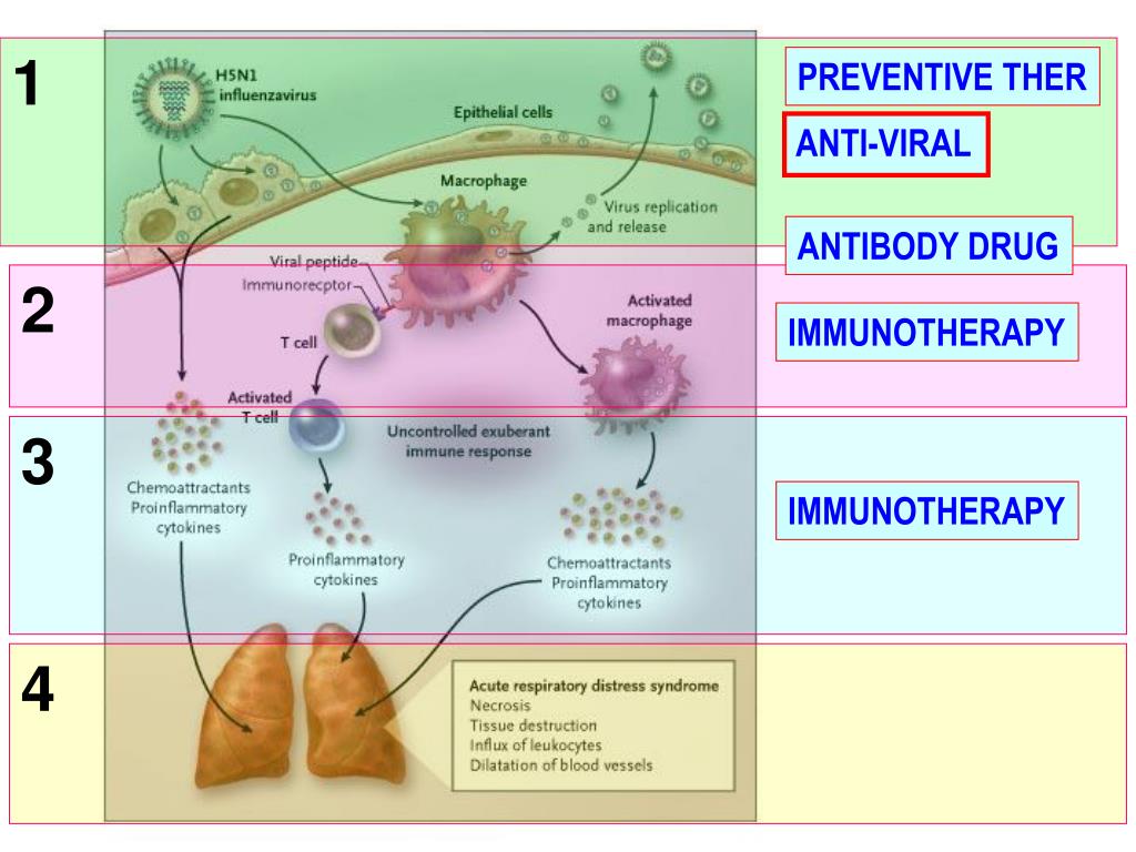 PPT ANTIVIRAL DRUGS RESISTANCY = RESISTANCE VIRUS PowerPoint