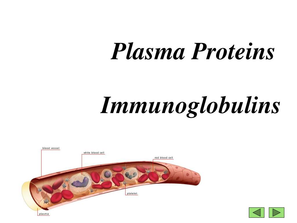 PPT Plasma Proteins PowerPoint Presentation, free download ID4523446