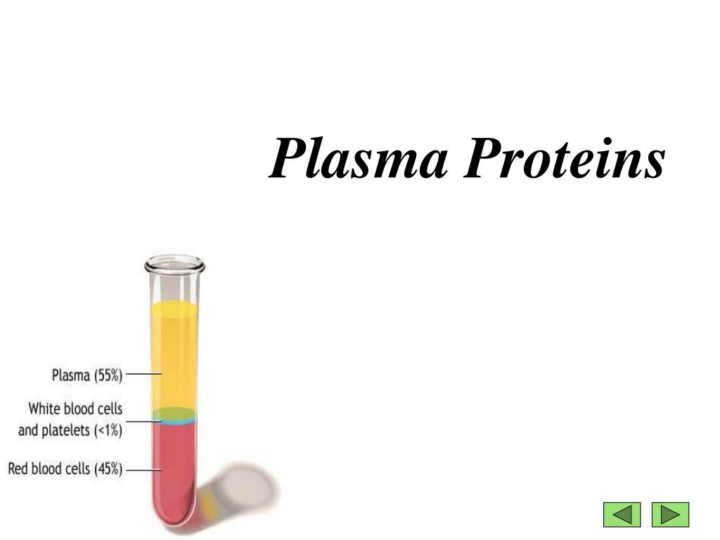 PPT Plasma Proteins PowerPoint Presentation, free download ID4523446