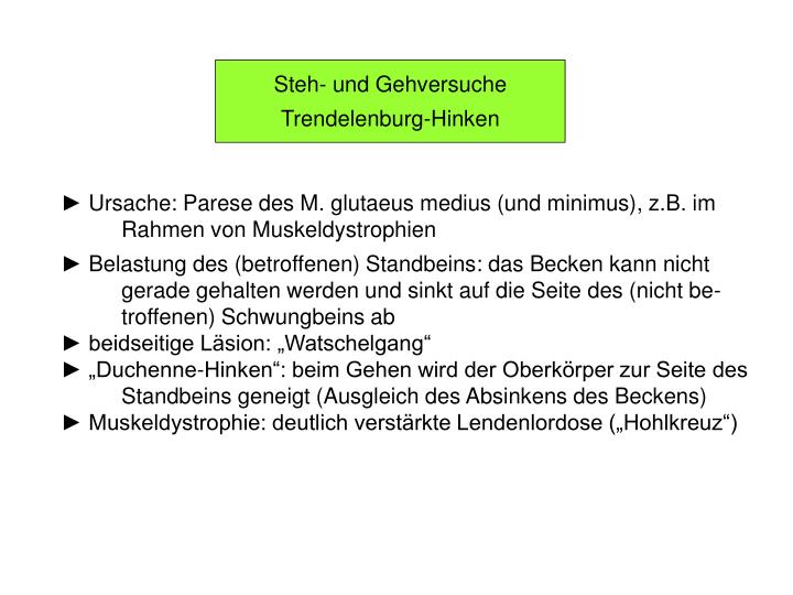 PPT Neurologische Symptome und Syndrome 3/4 PowerPoint Presentation