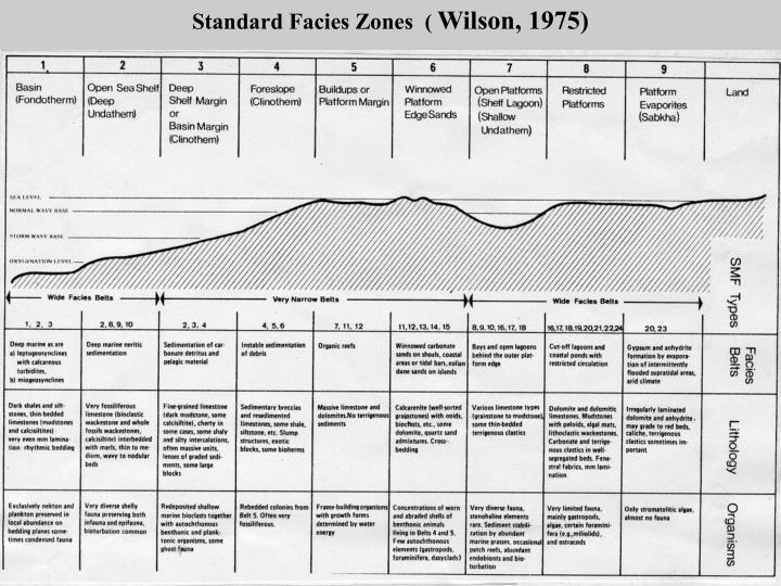 PPT Carbonate sediments, facies, & depositional environments