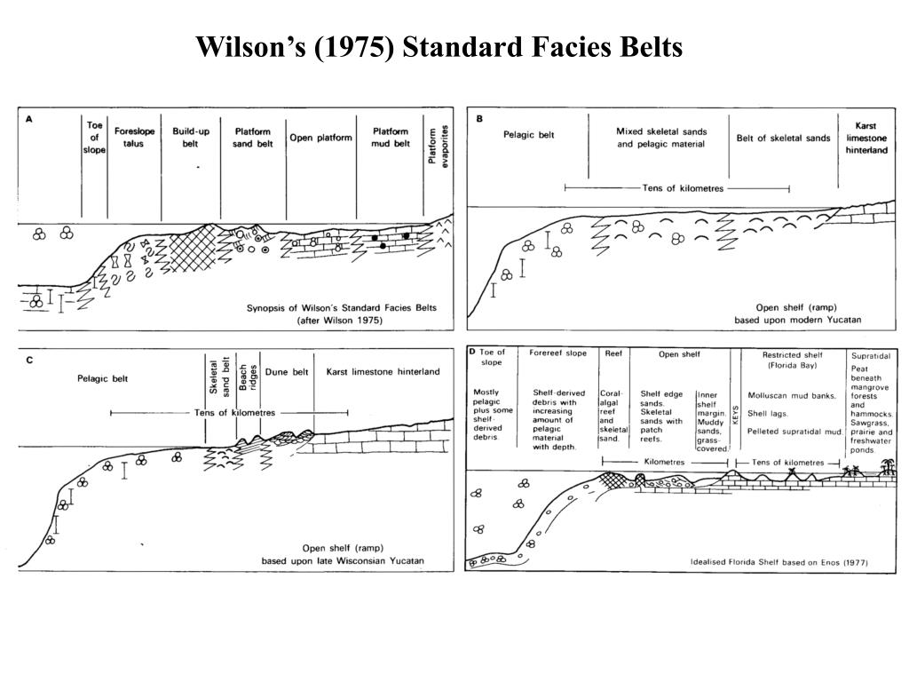 PPT Carbonate sediments, facies, & depositional environments