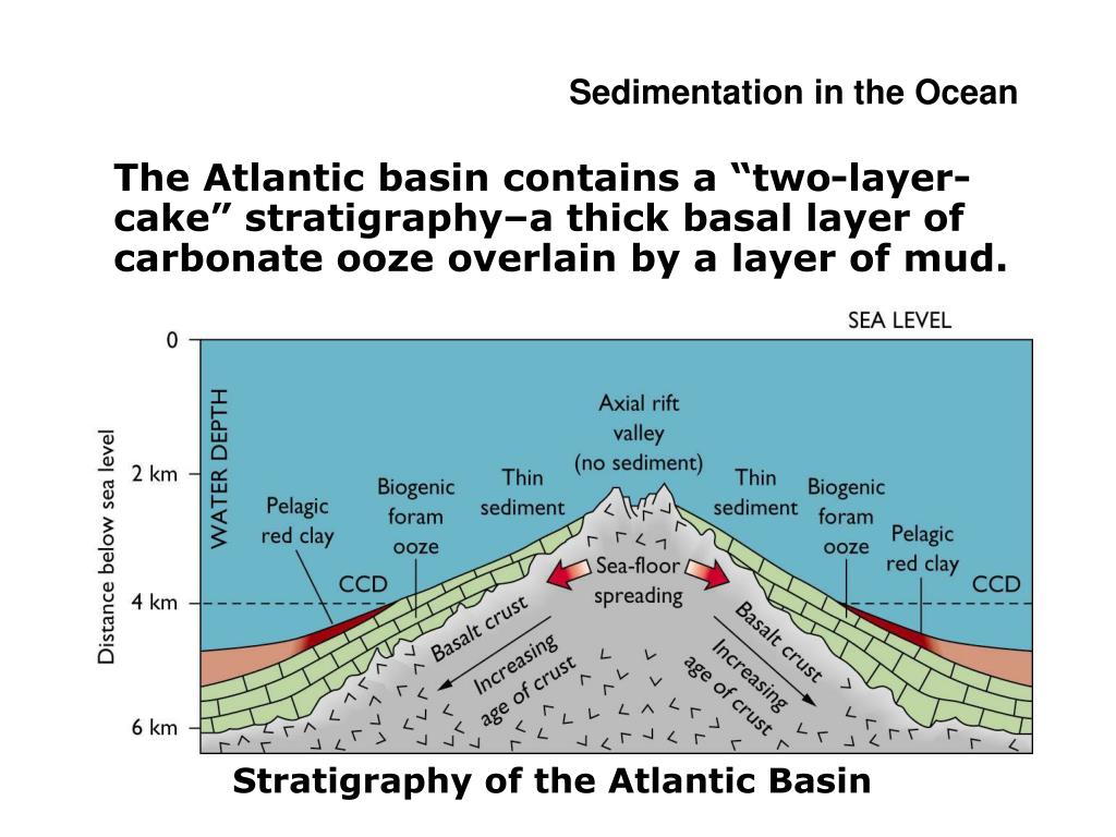 PPT Marine Sedimentation PowerPoint Presentation, free download ID