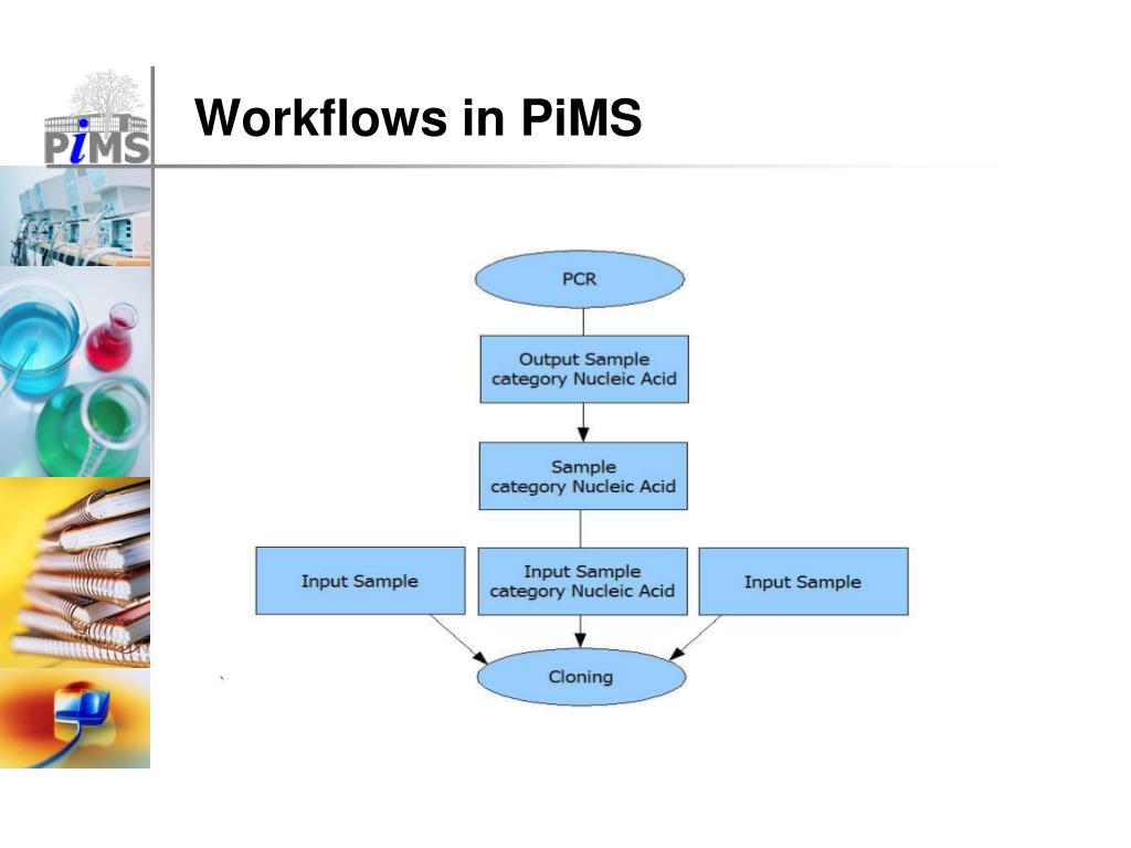 PPT PiMS at the OPPF PowerPoint Presentation, free download ID4533556