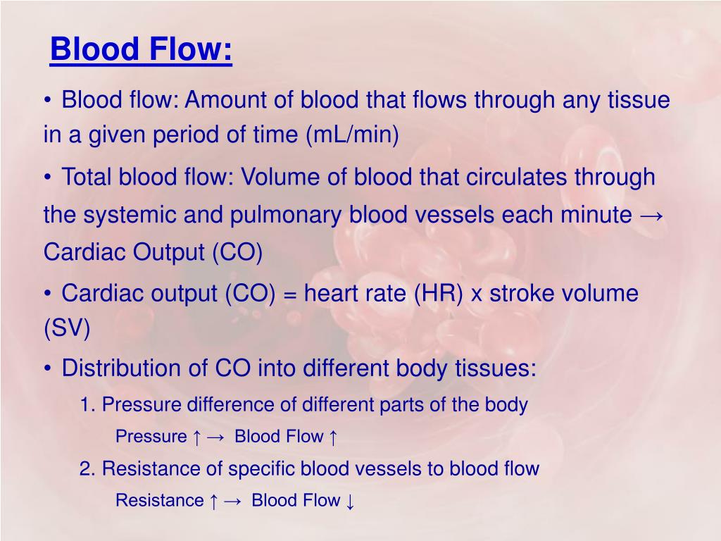 PPT Hemodynamics and Factors Affecting Blood Flow PowerPoint