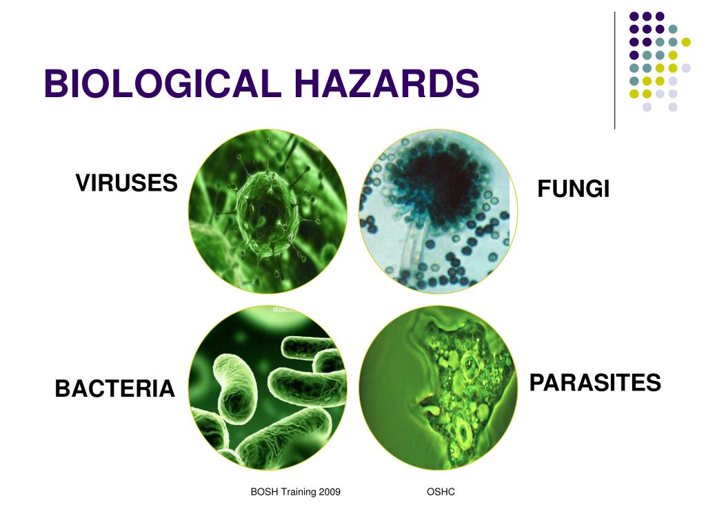 Types Of Biological Hazards