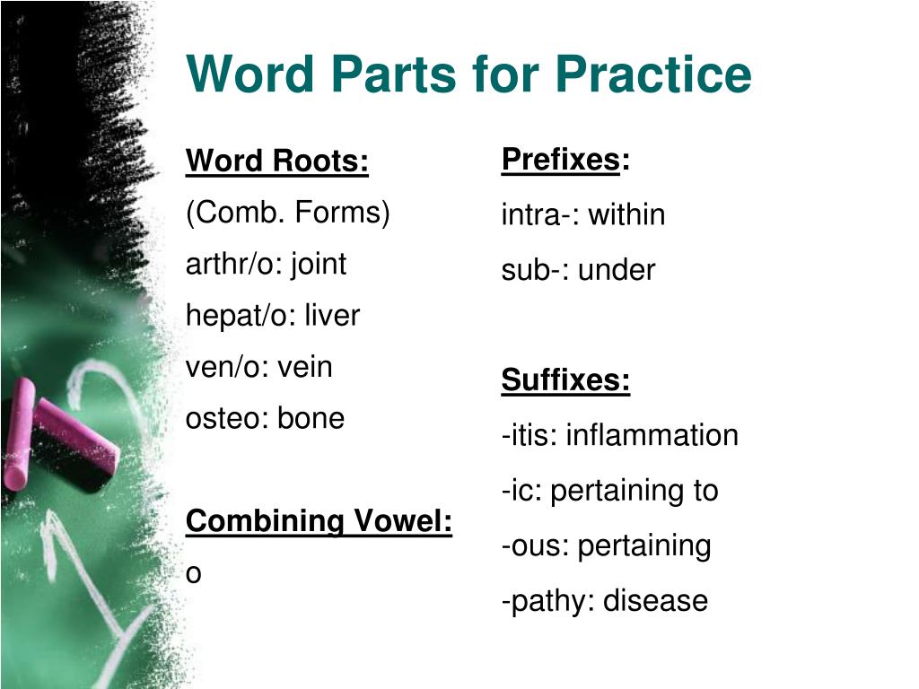 PPT to Medical Terminology PowerPoint Presentation, free