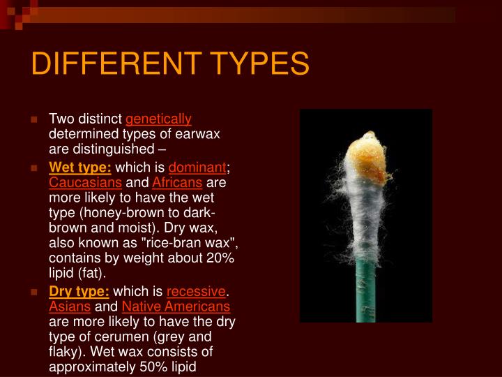 PPT CERUMEN/ EAR WAX PowerPoint Presentation ID4547299